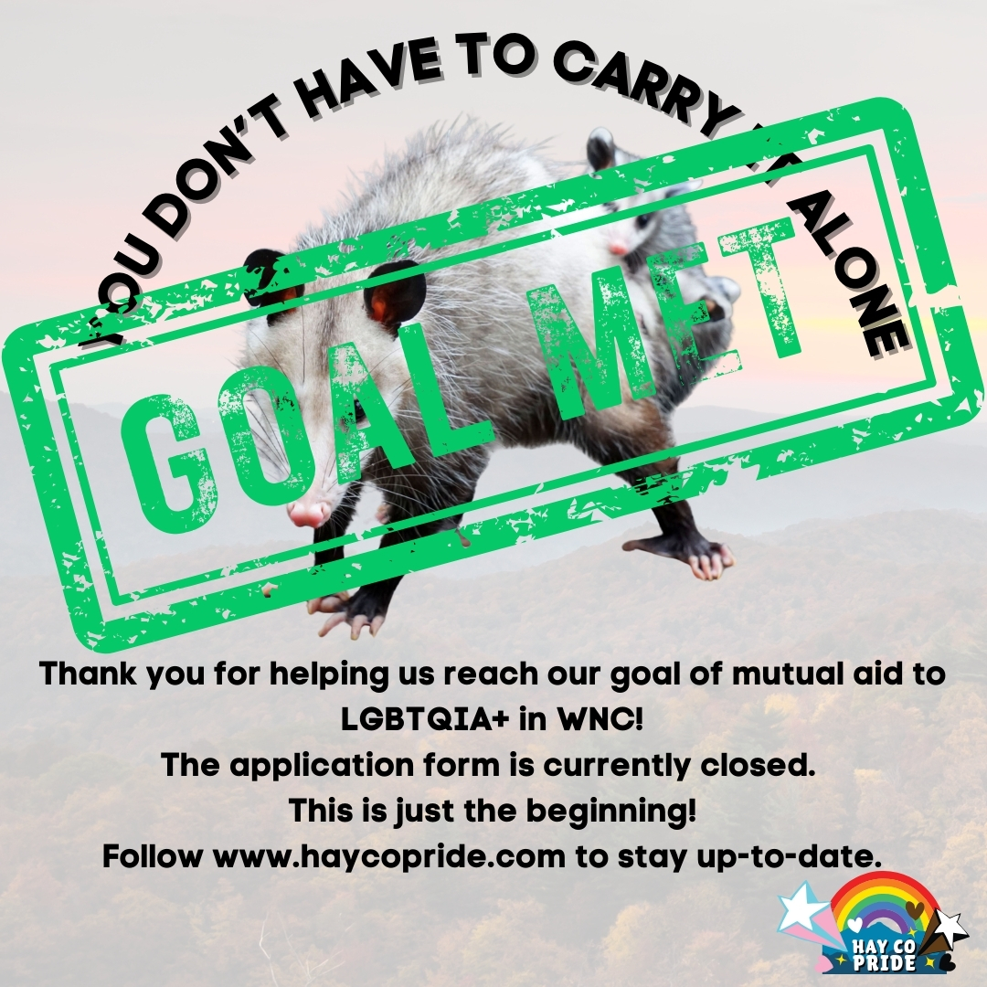 Celebrating the Success of Our Mini-Grant Campaign!